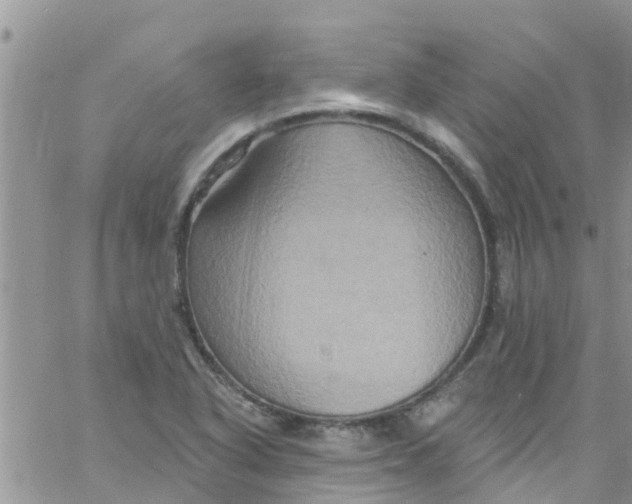 X0000061151318200512091949