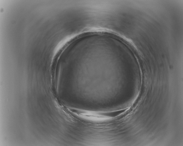 X0000061151319200512091949