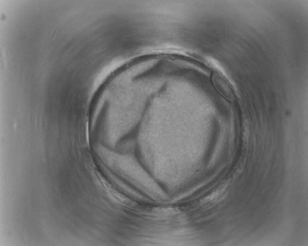 X0000061151320200512091949