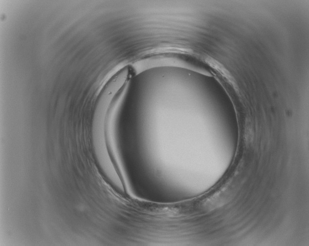 X0000061151321200512091949