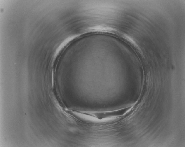 X0000061151323200512091949