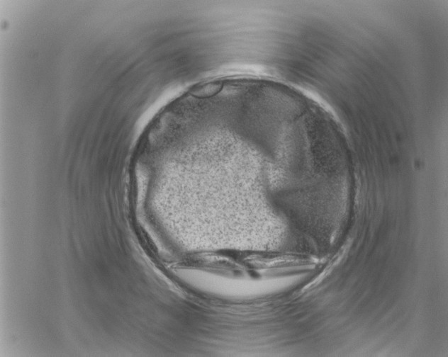 X0000061151325200512091949