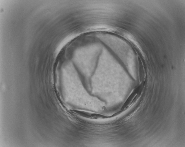 X0000061151328200512091949