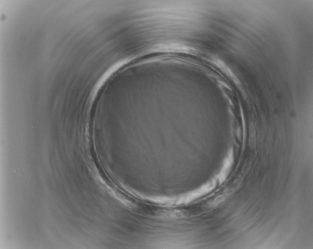 X0000061151331200512091949