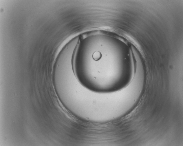 X0000061151332200512091949