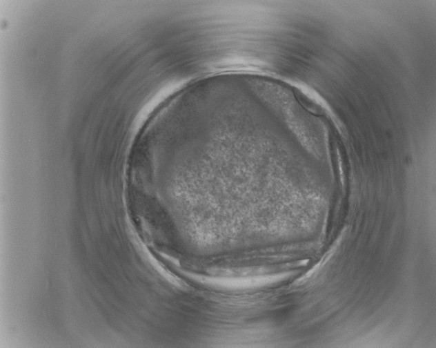 X0000061151333200512091949