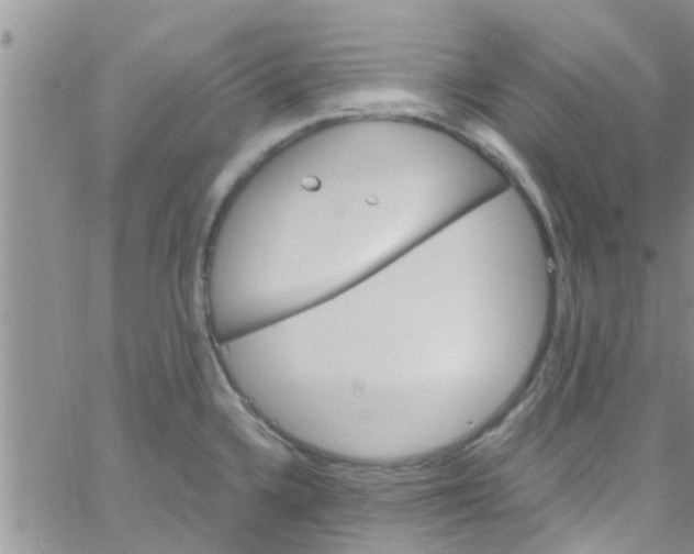 X0000061151336200512091949