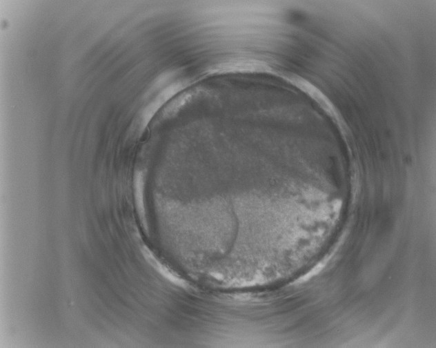 X0000061151337200512091949