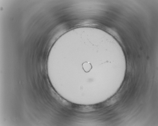 X0000061151338200512091949