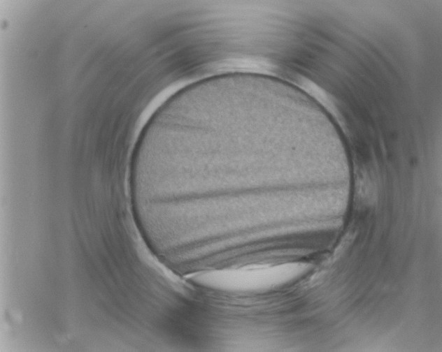 X0000061151339200512091949