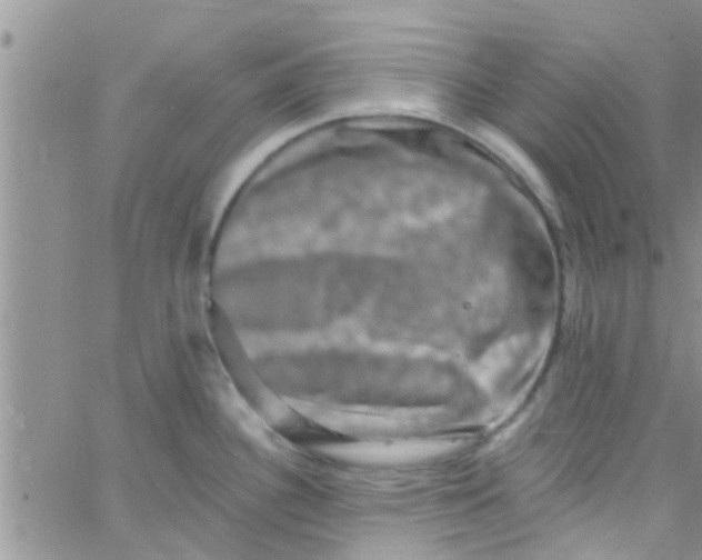 X0000061151340200512091949