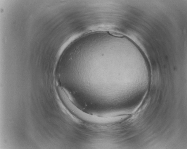 X0000061151341200512091950