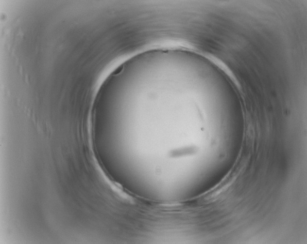 X0000061151343200512091950