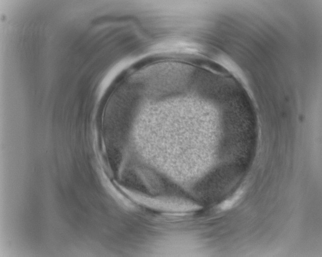 X0000061151344200512091950