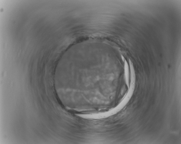 X0000061151345200512091949