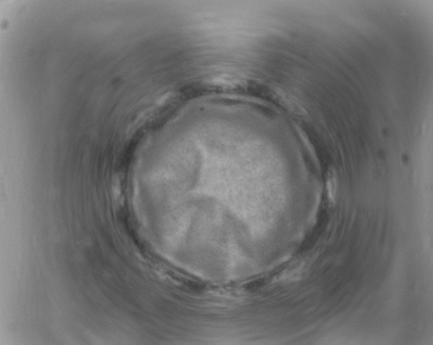 X0000061151347200512091949