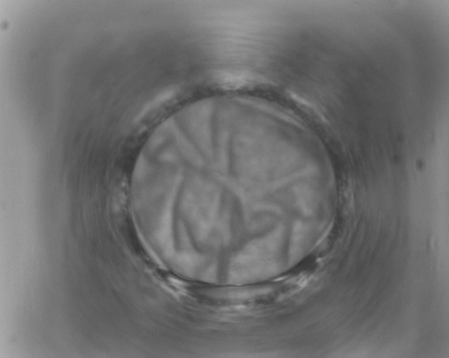 X0000061151349200512091949