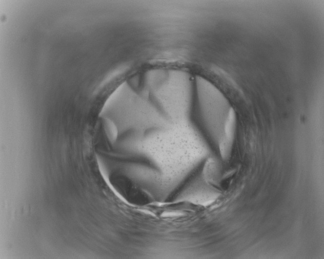 X0000061151350200512091949