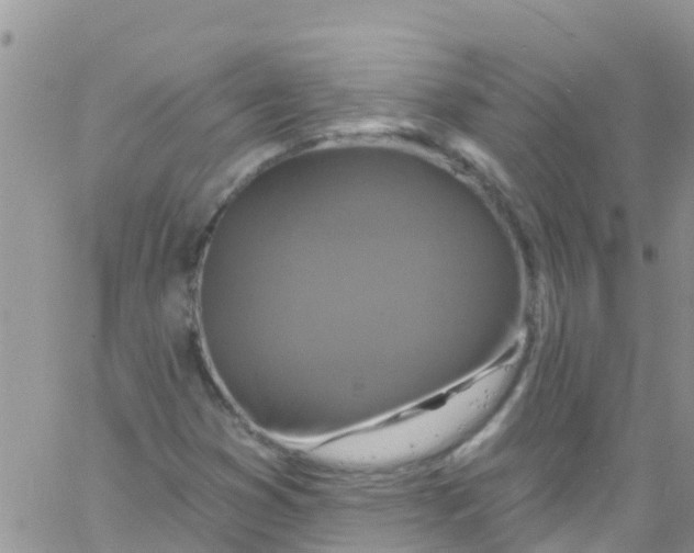 X0000061151353200512091949