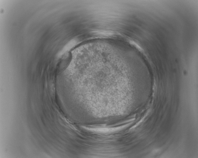 X0000061151354200512091949