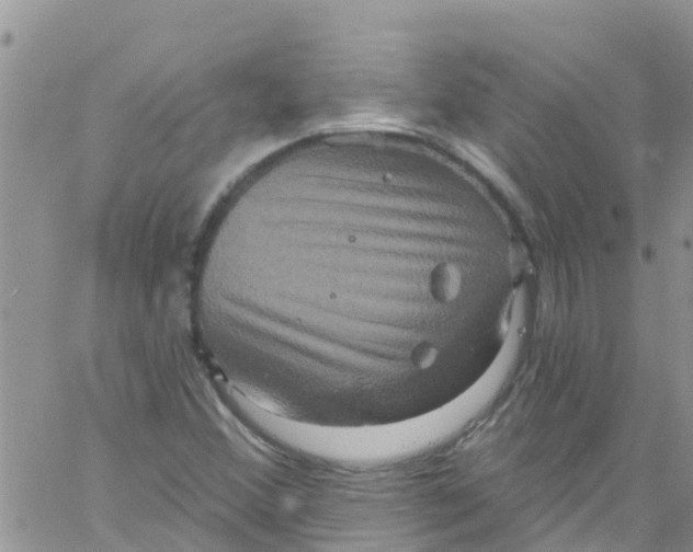 X0000061151356200512091949