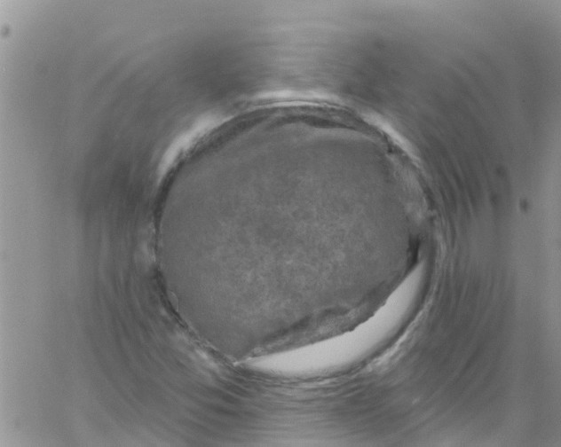 X0000061151357200512091949