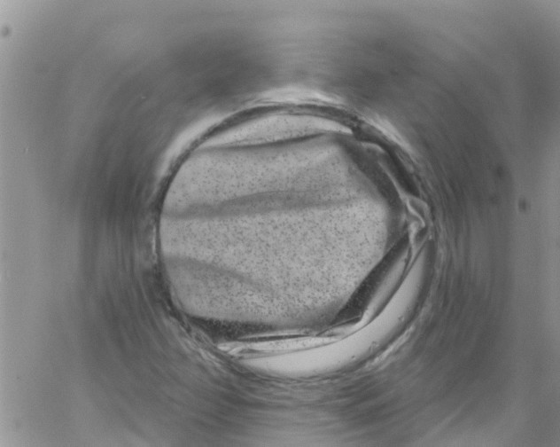 X0000061151358200512091949