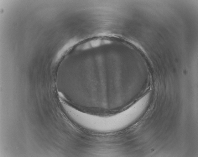 X0000061151359200512091949