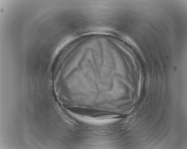 X0000061151360200512091949