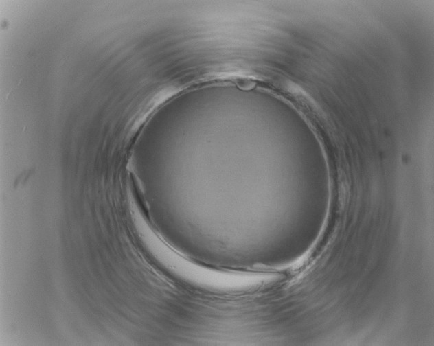 X0000061151361200512091949