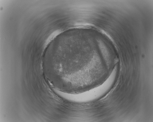 X0000061151362200512091948