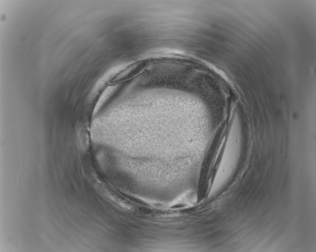 X0000061151363200512091948