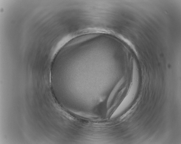 X0000061151365200512091948