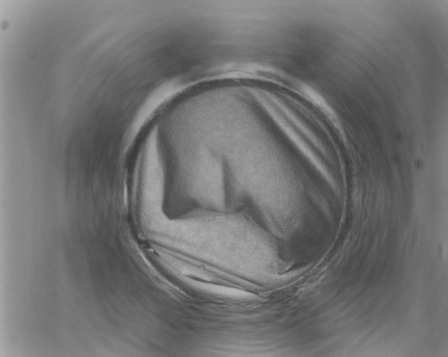 X0000061151368200512091948