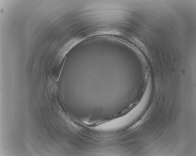 X0000061151369200512091948