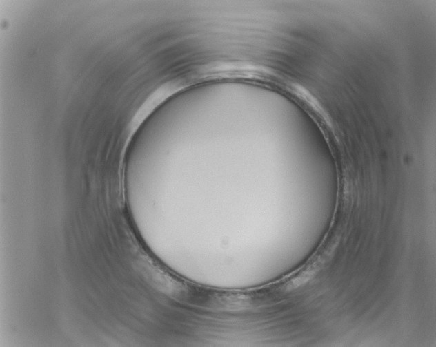 X0000061151370200512091948