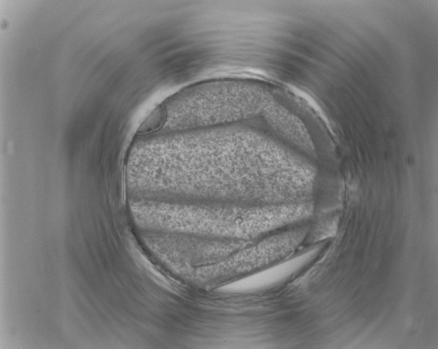 X0000061151371200512091948