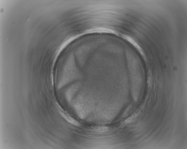 X0000061151372200512091948