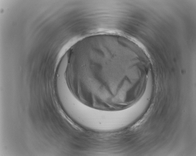 X0000061151373200512091948