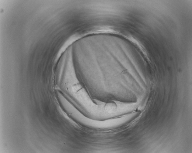 X0000061151374200512091948