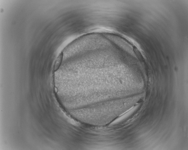 X0000061151375200512091948