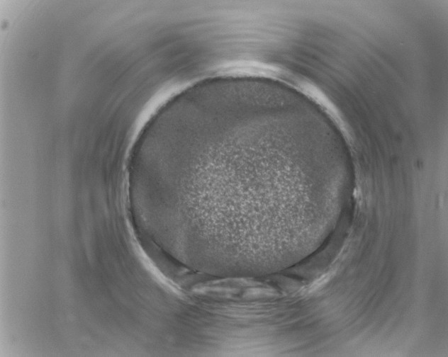 X0000061151376200512091948