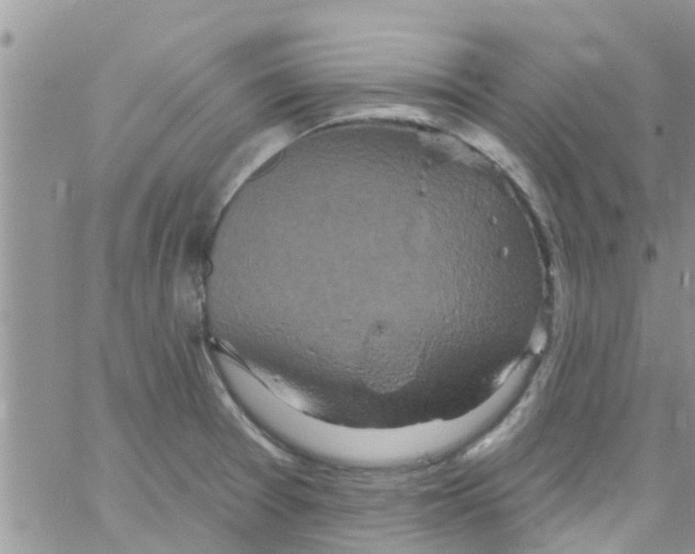 X0000061151377200512091948