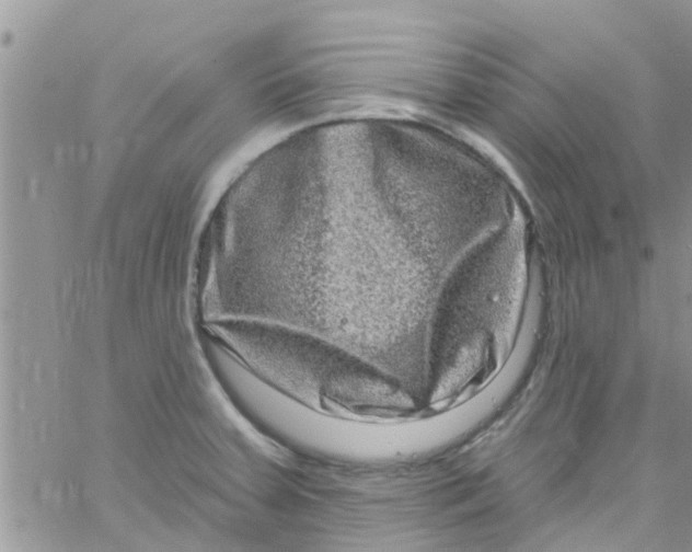 X0000061151379200512091948