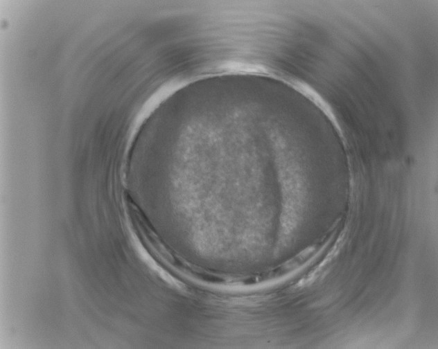 X0000061151381200512091948