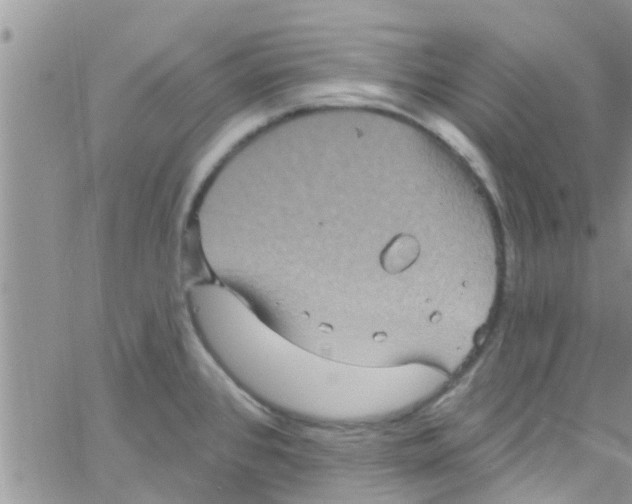 X0000061151384200512091948