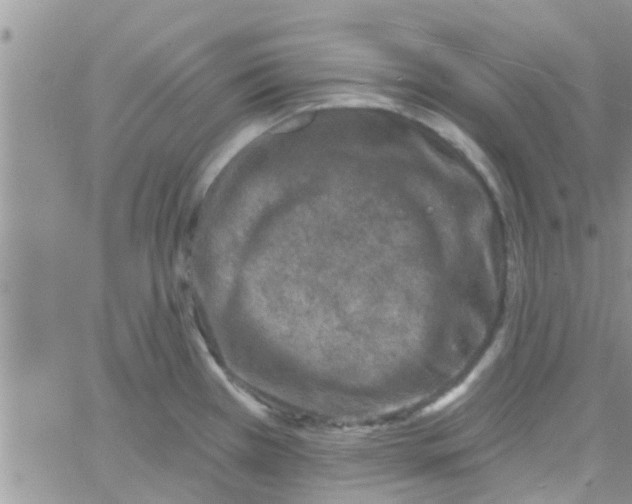 X0000061151385200512091948