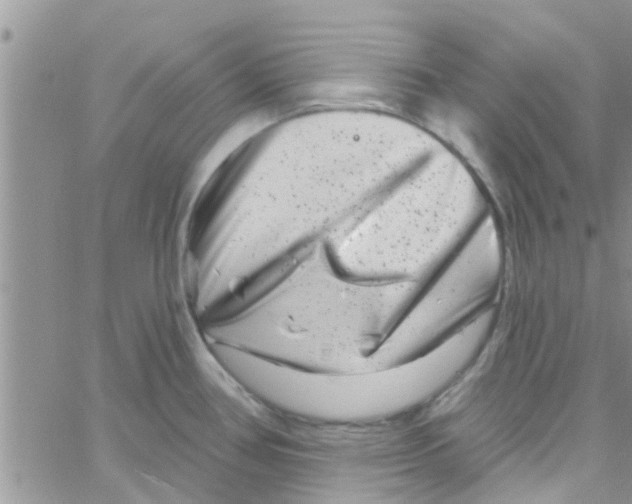 X0000061151386200512091948