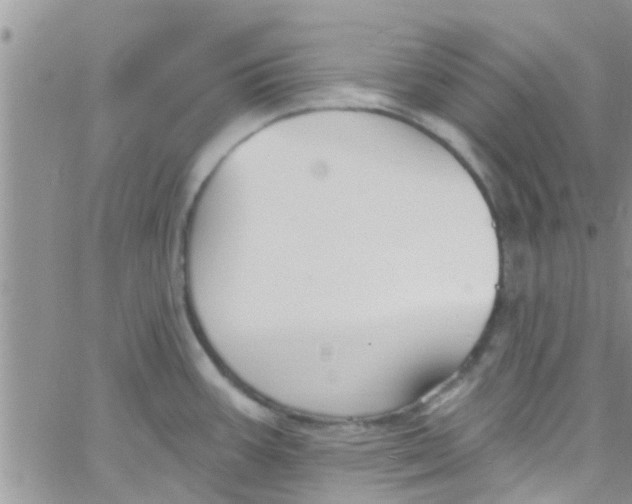 X0000061151387200512091948