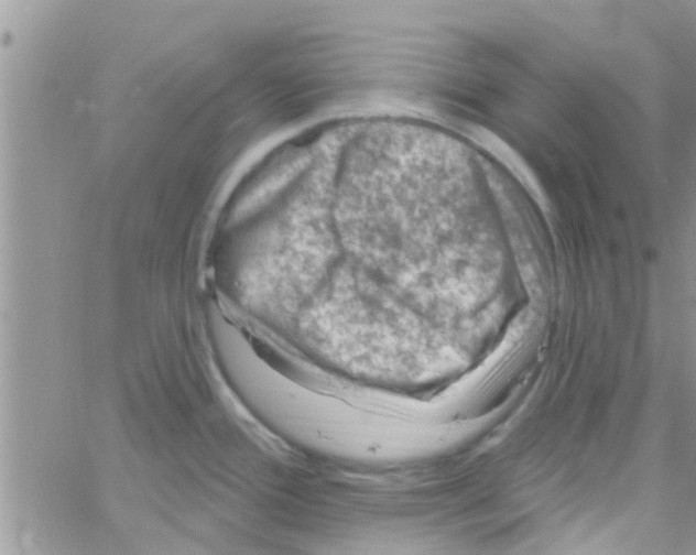 X0000061151388200512091948